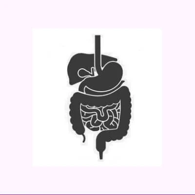 GASTROENTEROLOGY